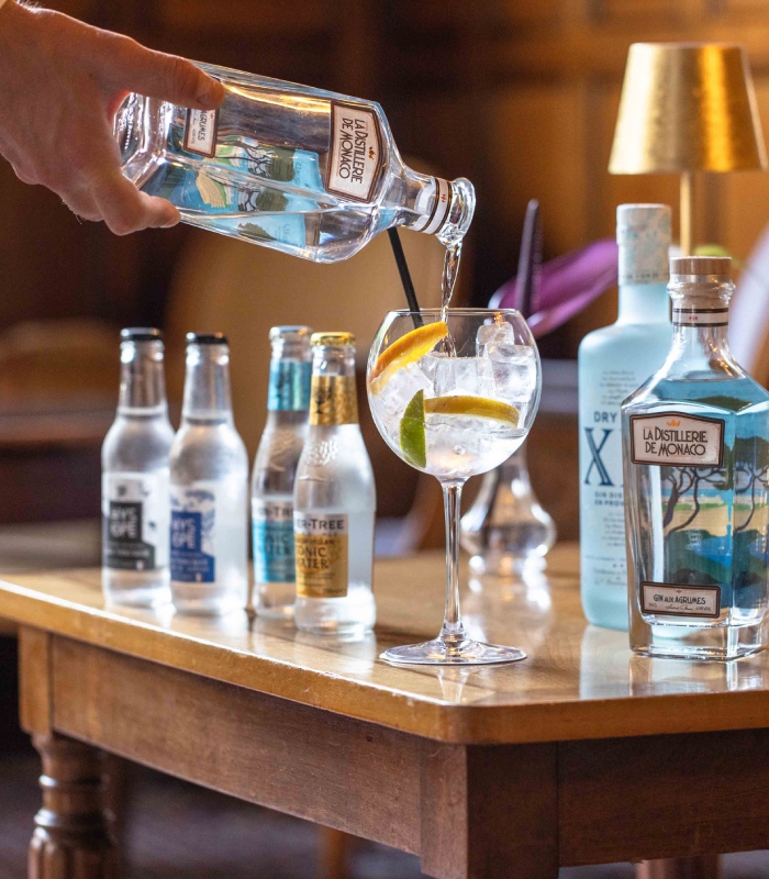 Le-Negresco-Le-bar-Gin-locaux-c-Gregoire-Gardette-852.jpg