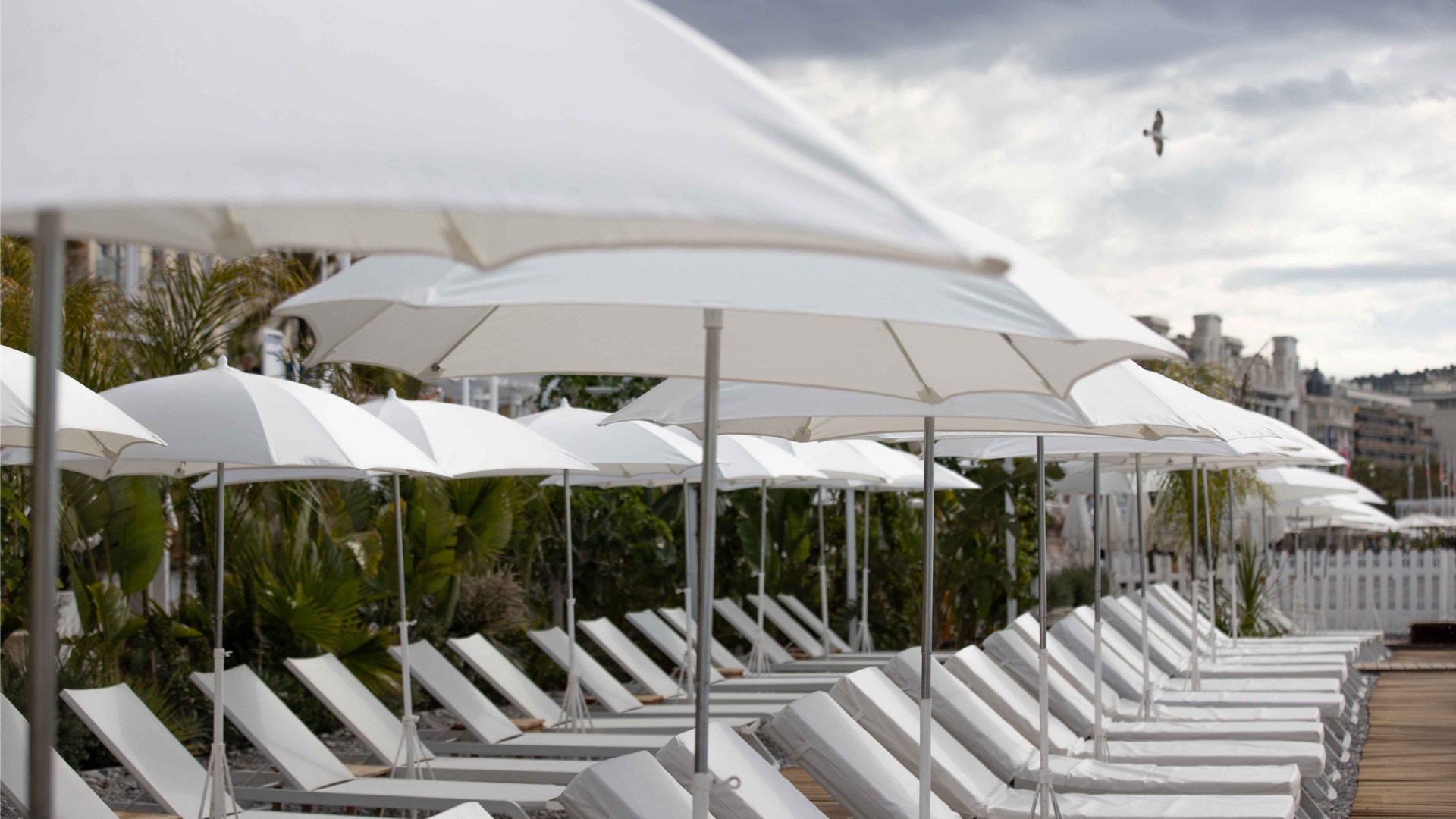 Le-Negresco-La-Plage-cGregoire-Gardette-0107-BD.jpg