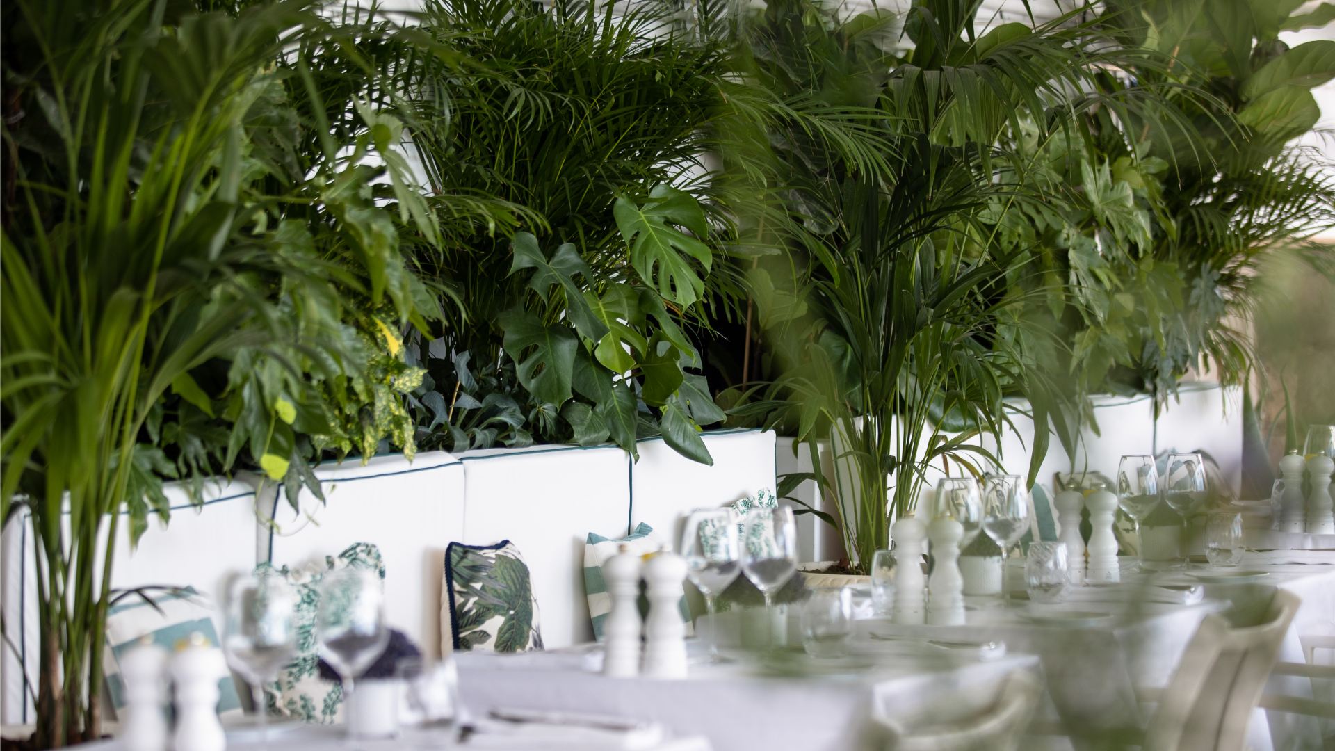 LeNegresco-Restaurant-de-La-PlagecGregoireGardette-hd-41.jpg