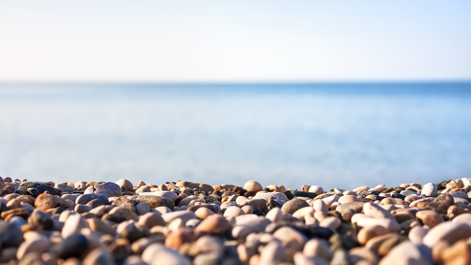 shutterstock_177109667.jpg