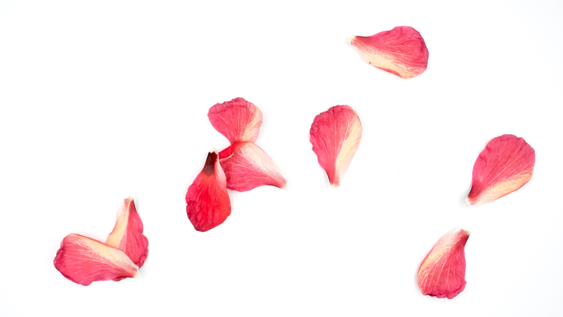 shutterstock_1956767527.jpg