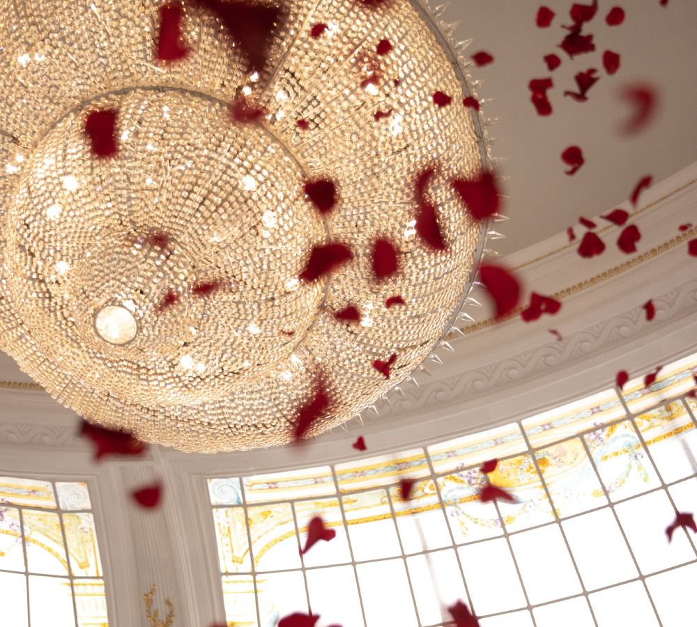 Le-Negresco-FFA-c-Gregoire-Gardette-4704-HD-copie-1.jpg