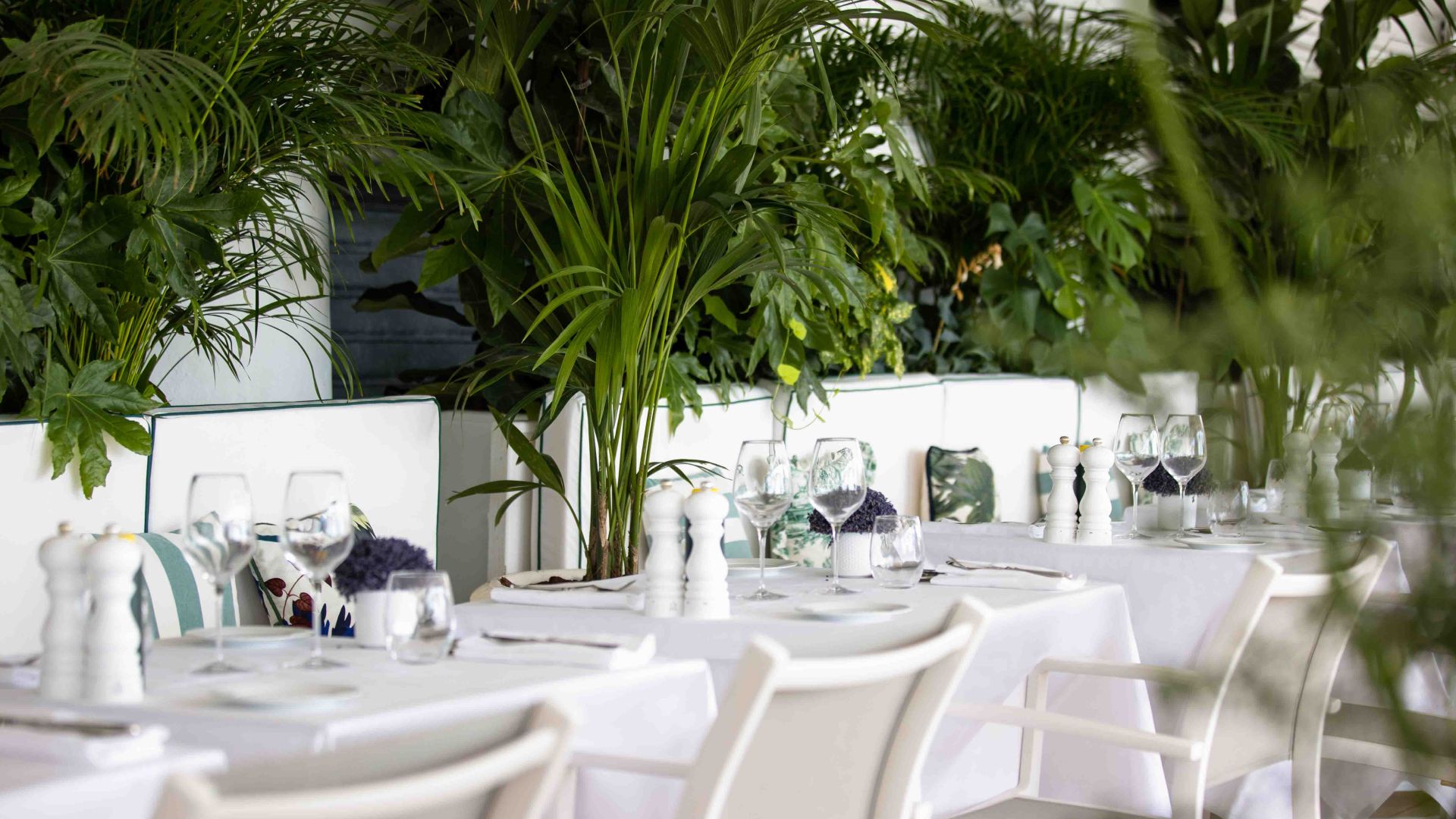 LeNegresco-Restaurant-de-La-Plage-cGregoireGardette-bd-42.jpg