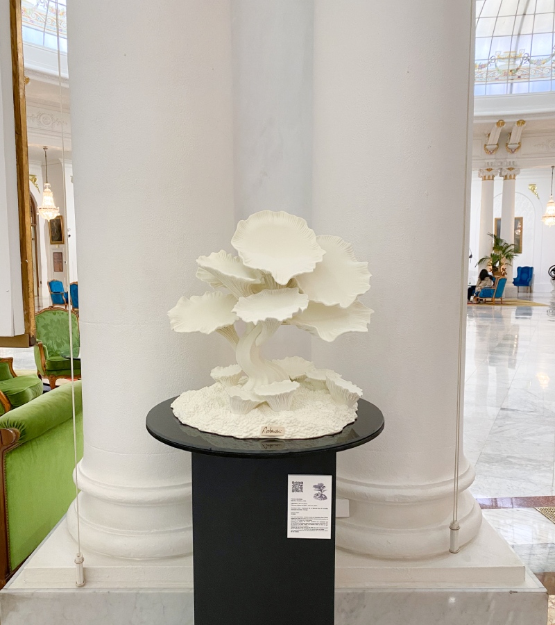 Floriane-Lisowski-–-Mycelium-Corallium-©-Laura-Laforge.jpg