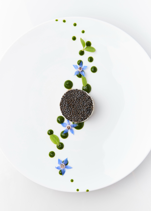 LeNegresco-Bar-Huitre-en-tartare-caviardeSologne-1.jpg